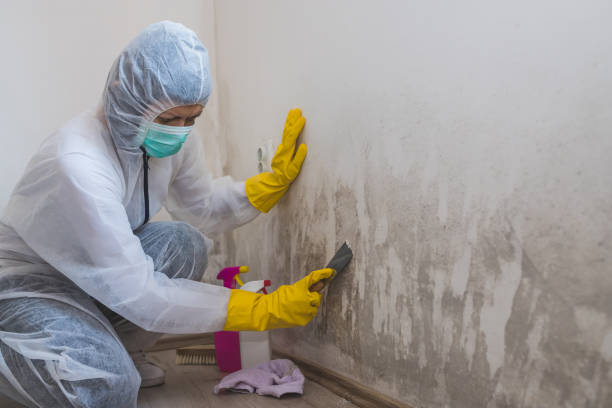 Best Biohazard Mold Removal  in Lexington, TX