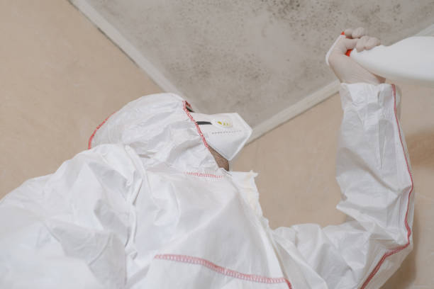 Best Mold Remediation for Rental Properties  in Lexington, TX