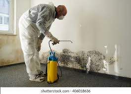 Mold Remediation for Rental Properties in Lexington, TX